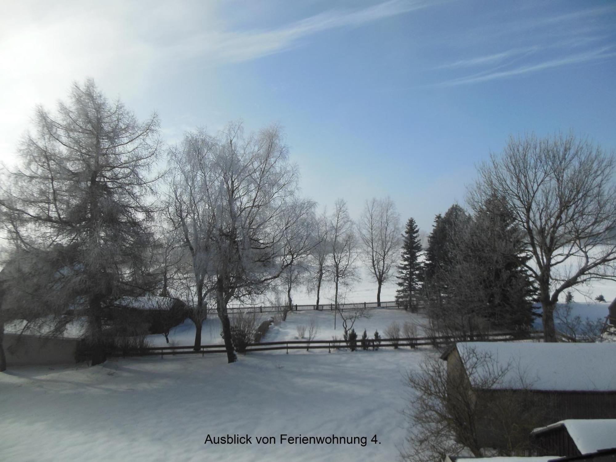 Haus Niemann Ferienwohnungen Deutscheinsiedel Bagian luar foto